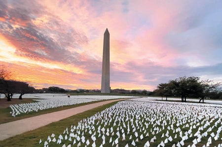 Sunset landscape showing white flags on the lawn at the National Mall in Washington, D.C.