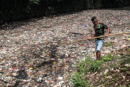 A man nets plastic waste from a heavily polluted river