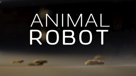 The words Animal Robot with on a mostly black background with small clusters of yellowish cells at the bottom of the frame