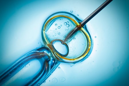 Conceptual image showing view looking through microscope during procedure to fertilize an extracted egg