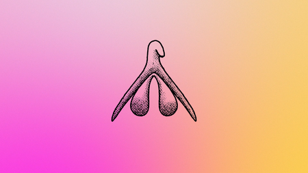 An animation of a clitoris