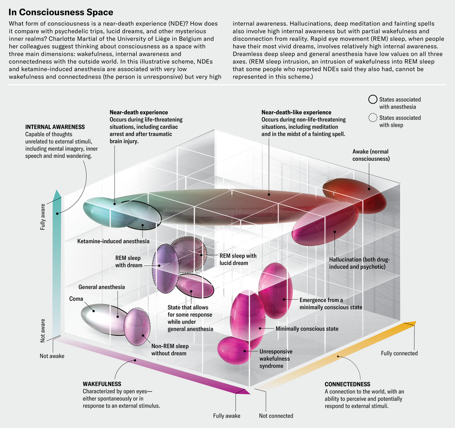 3D qualitative chart plots a range of states, including awake, coma, near-death experience, near-death-like experience, and several sleep and anesthesia-related states. Axes are awareness, wakefulness and connectedness.